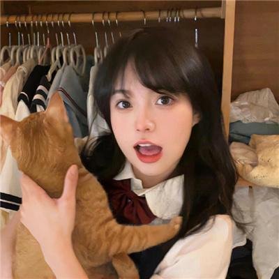 金装律师第四季